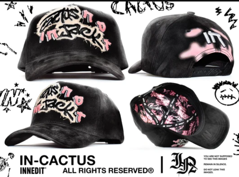Innedit Cactus